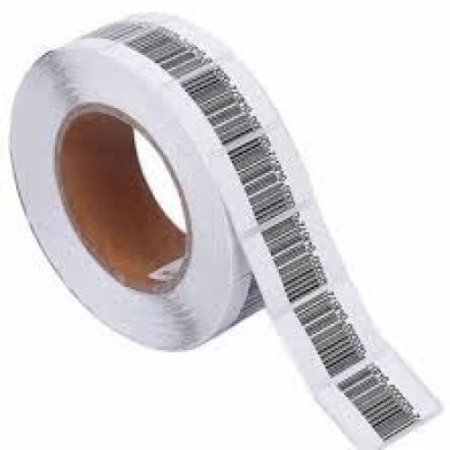 WhatsApp Image 2025-03-17 at 18.42.28 (1)