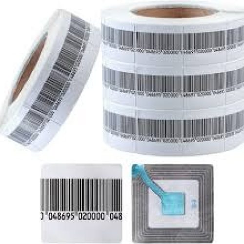 WhatsApp Image 2025-03-17 at 18.42.28 (2)