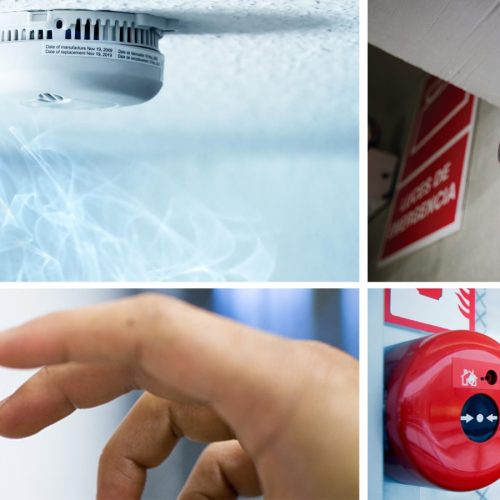 WhatsApp Image 2025-03-17 at 18.42.31 (3)