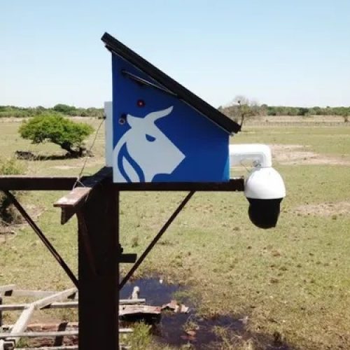 WhatsApp Image 2025-03-17 at 18.42.31