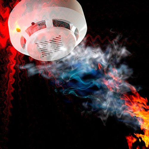 WhatsApp Image 2025-03-17 at 18.42.32